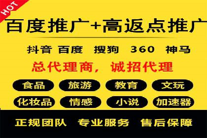 网络推广策略：竞价广告的实践案例